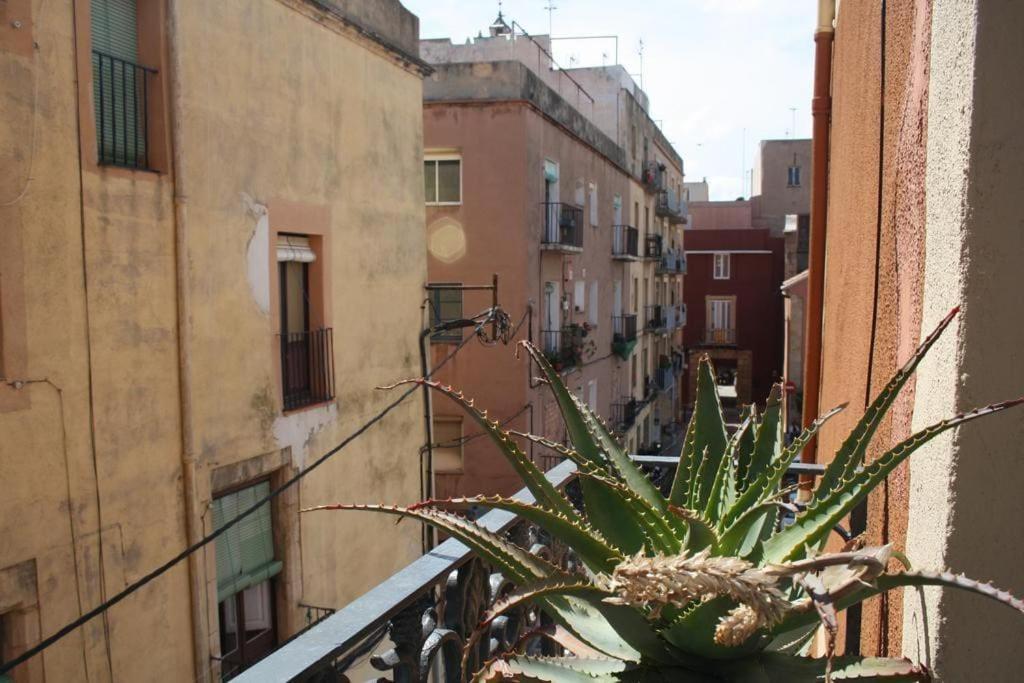 De Diseno En Casco Antiguo Tarragona